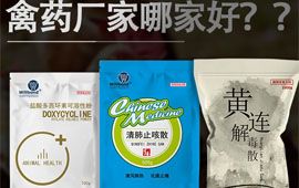 禽药厂家哪家好？这样选就对了【汇邦兽药】