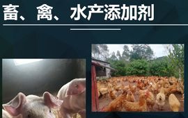 添加剂预混合饲料公司，这有一家靠谱的！【汇邦兽药】