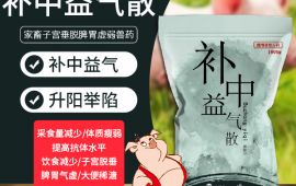 补中益气散，如何提高猪的采食量【汇邦兽药】