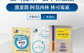 蛋鸡如何提升产蛋率和蛋品【汇邦兽药】