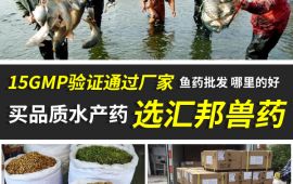 鱼药批发，哪里的好 【汇邦兽药】