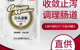 调理猪的肠胃用什么药，教您正确的使用方法 【汇邦兽药】