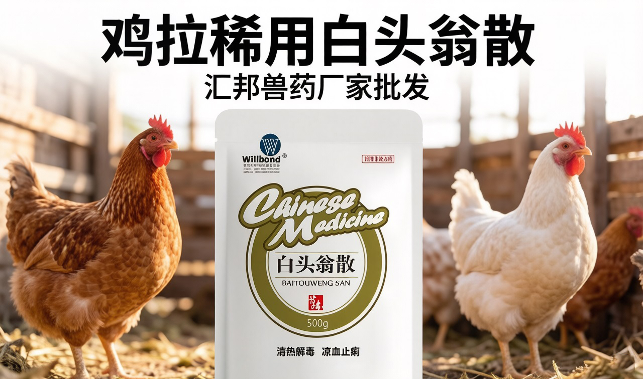 鸡拉稀用什么中兽药，白头翁散止痢护肠。【汇邦兽药厂】