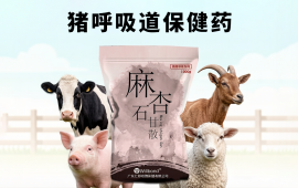 猪呼吸道保健药厂家选择,汇邦兽药可靠吗?