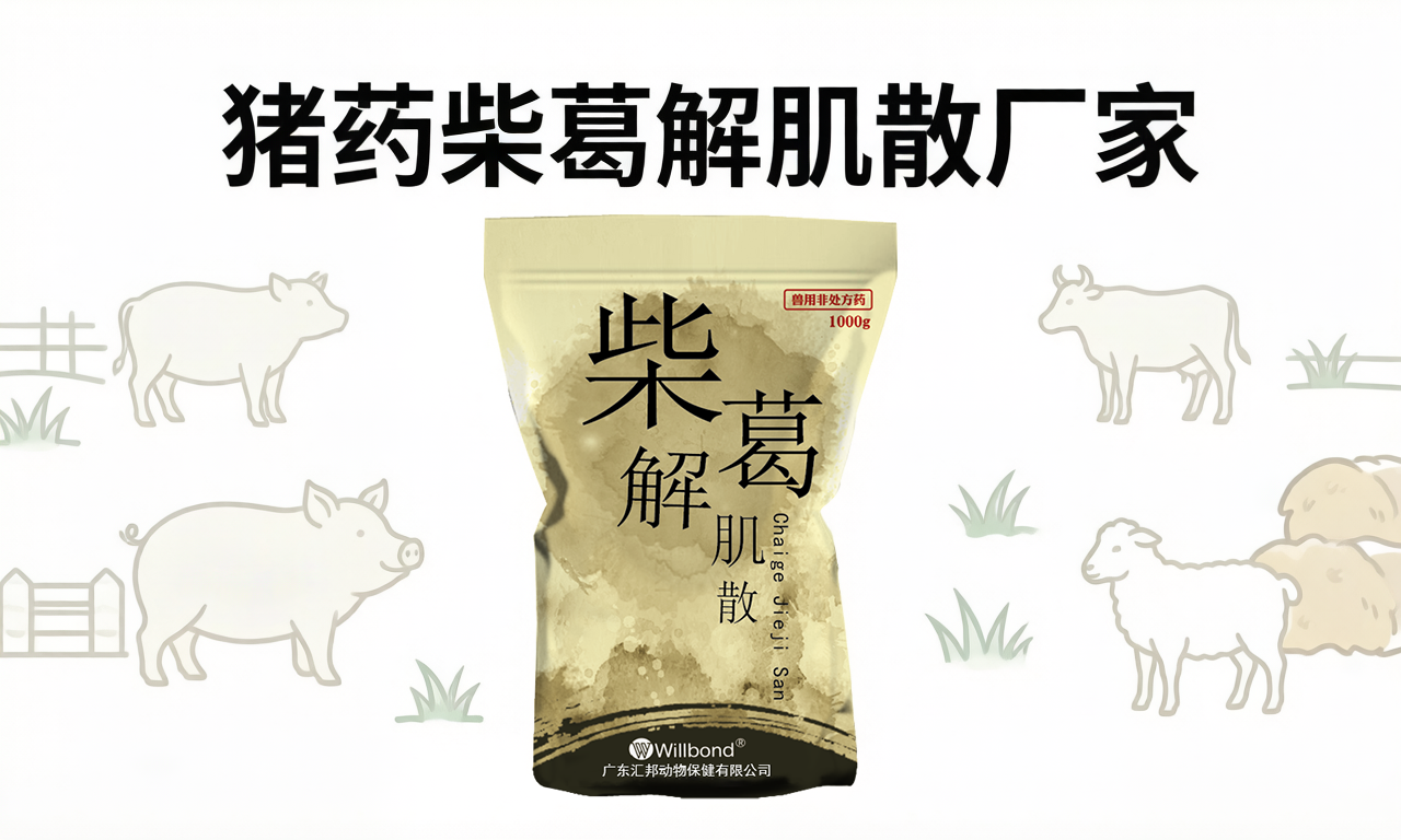 猪药柴葛解肌散厂家选择指南，汇邦兽药品质推荐。