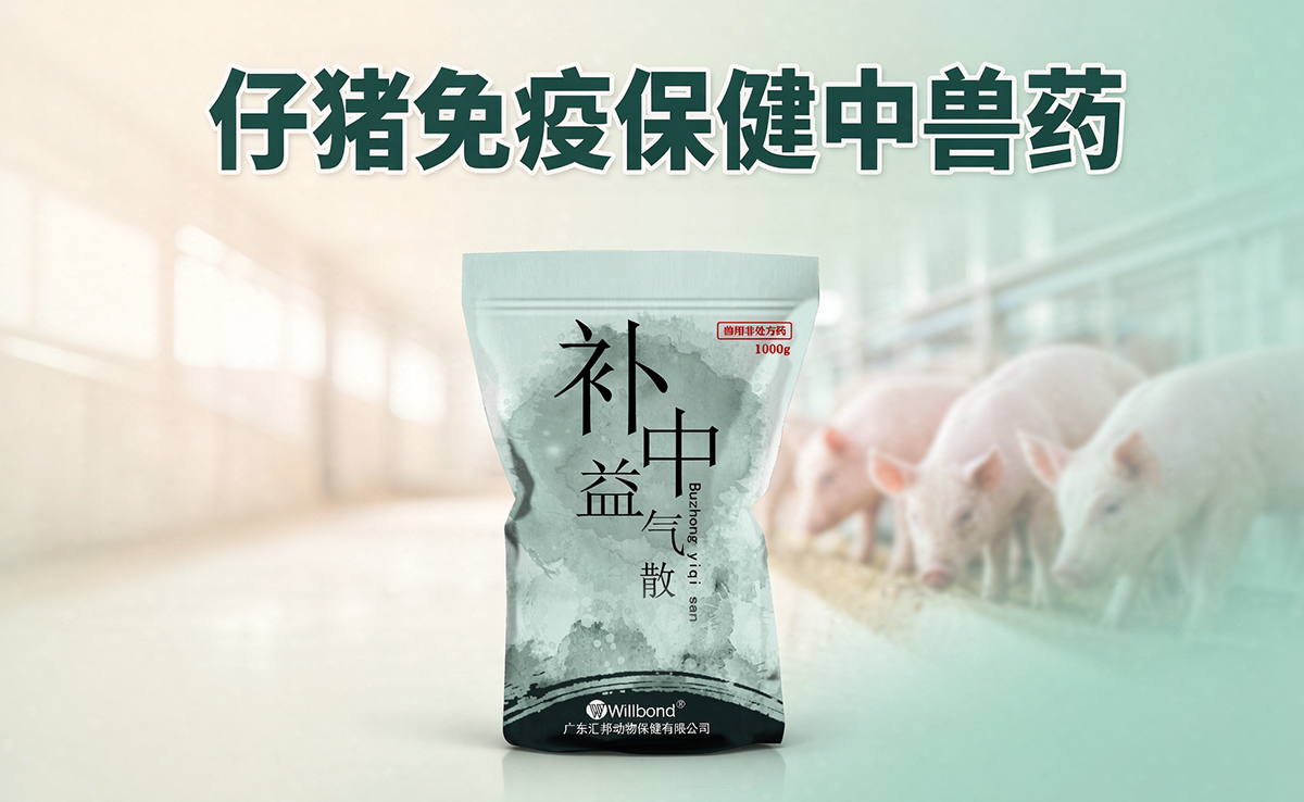 仔猪免疫保健中兽药批发,汇邦兽药厂家。