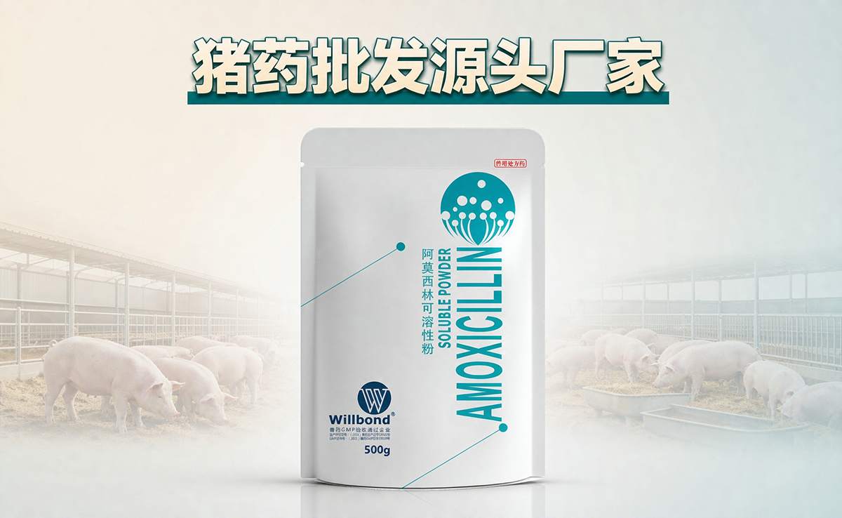 阿莫西林可溶性粉猪药批发,汇邦兽药厂家。