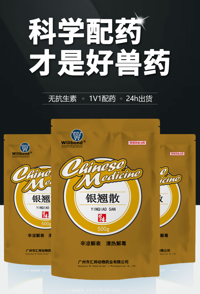 银翘散500g_01.jpg