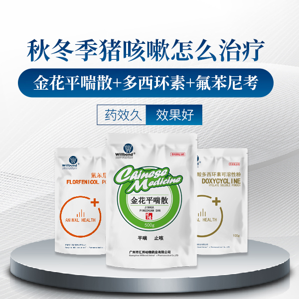秋冬季猪咳嗽怎么治疗