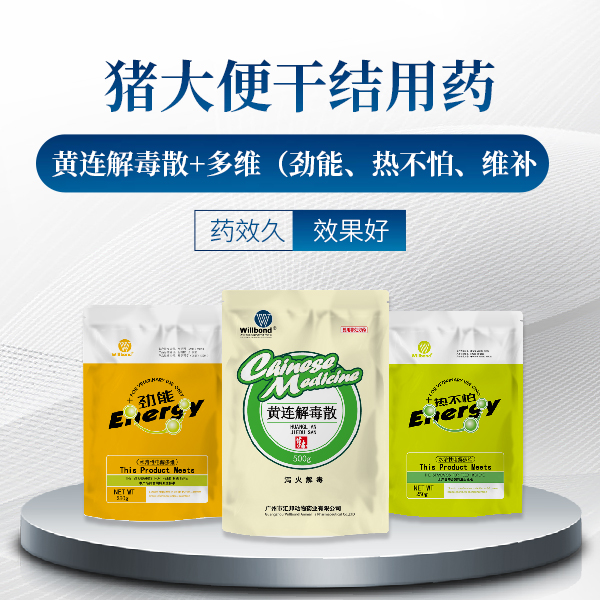 猪大便干结成颗粒状用什么药