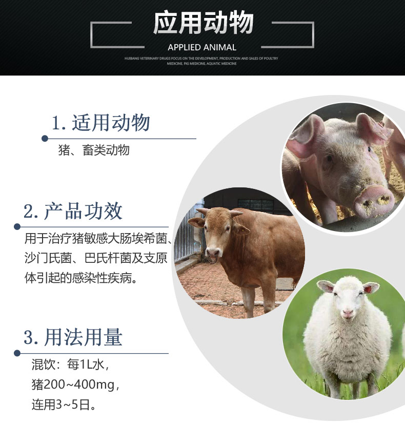 50%土霉素-详情页-猪用适用动物.jpg
