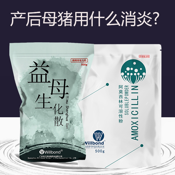 产后母猪用什么消炎药好