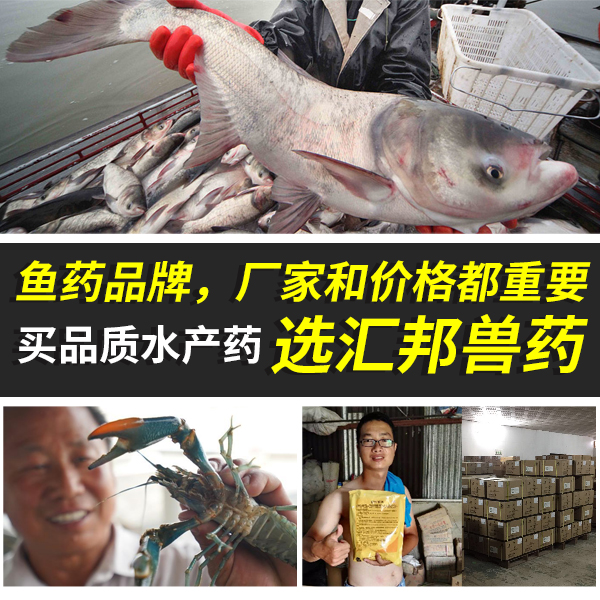 全国50强鱼药生产厂家