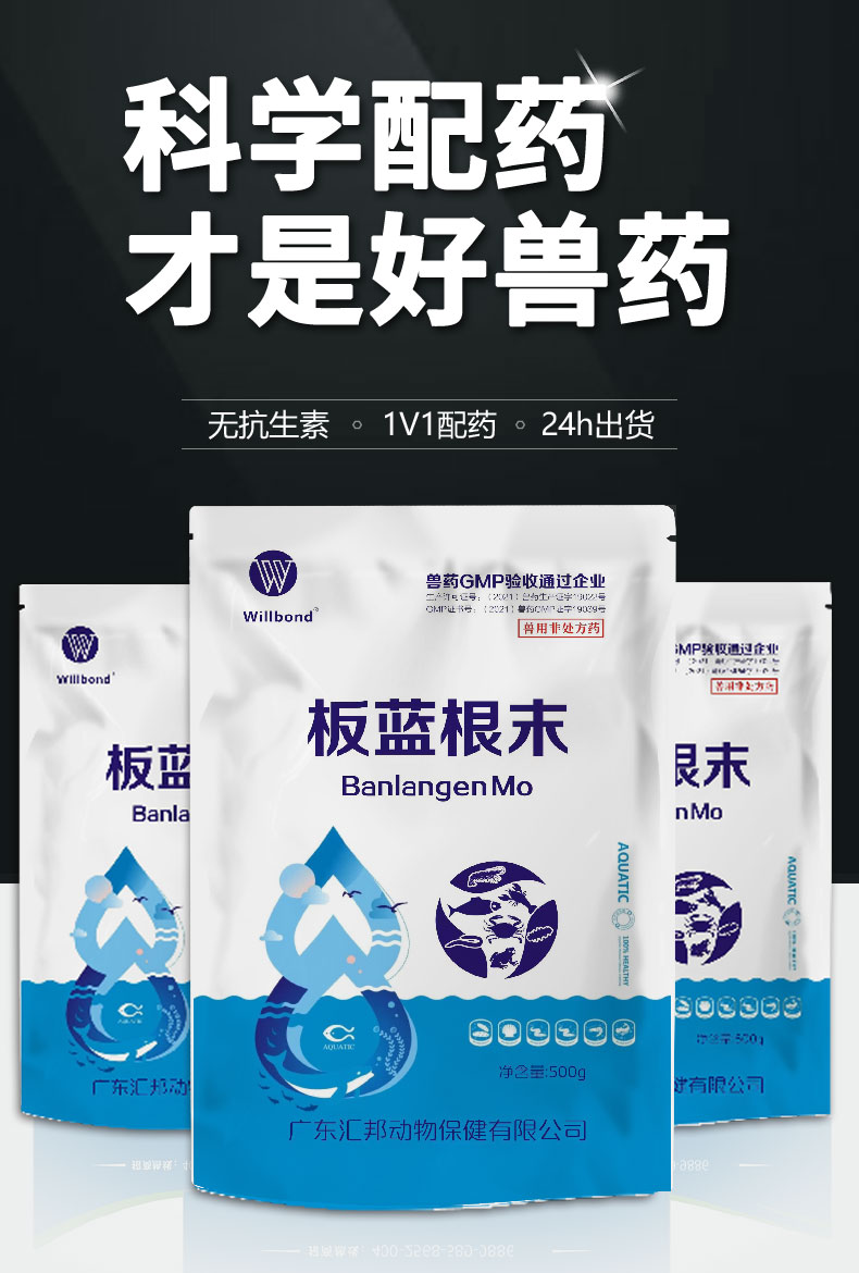 板蓝根末-详情_01.jpg
