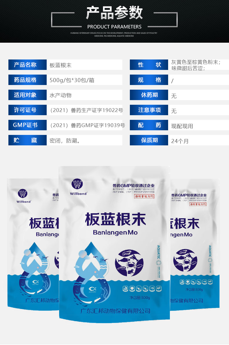 板蓝根末-详情_04.jpg