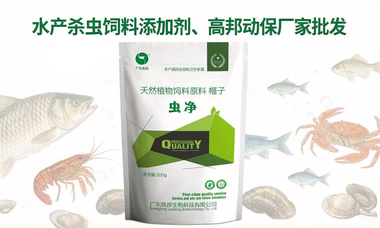 1772096069601304.jpg 15.jpg