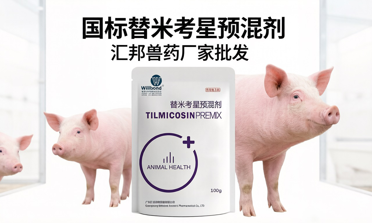 1773633229307087.jpg 42.jpg